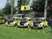 gundelsheim16